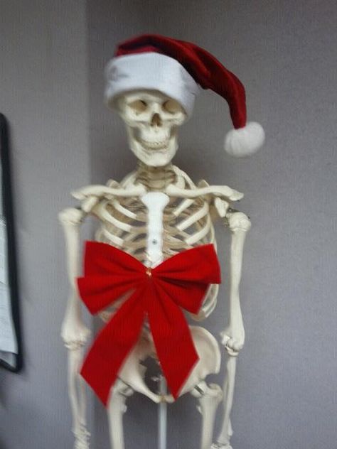 Mr. Bones says "Merry Christmas." Silly Skeleton, Mr Bones, Mystery Stories, Halloween Ideas, Detective, Skeleton, Bones, Merry Christmas, Holidays