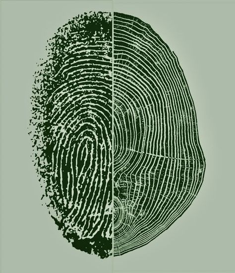 Concentric Circles In Nature, Nature And Human Connection, Tree Stump Rings, Rings Of A Tree, Human And Nature Connection, Tree Ring Illustration, Tree Rings Logo, Human And Nature Art, Human Connection Art