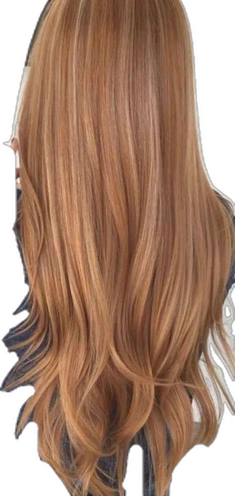 Highlights Red Hair Redheads, Auburn Blowout, Strawberry Blonde Vs Ginger, Ginger With Light Highlights, Apricot Orange Hair, Strawberry Blond Balayage On Brown Hair, Copper Red Highlights In Blonde Hair, Light Toffee Brown Hair, Ginger To Brown Hair