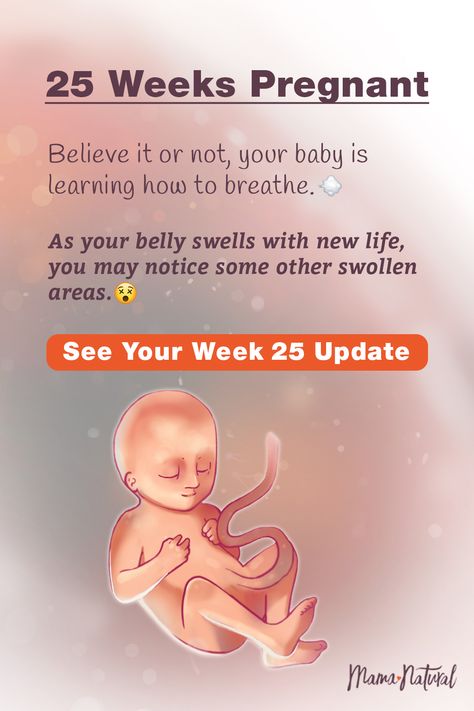 See what's up with baby, mama, and more when you're 25 weeks pregnant. The ultimate week by week natural pregnancy guide! Learn everything from pregnancy symptoms, development, learn to track your baby's growth and natural remedies for a healthy pregnancy. Click to find a complete timeline from the first trimester, second trimester, third trimester with tips for mom and baby to prepare them for a natural birth.   #naturalpregnancy #pregnancytips #naturalbirth Tips For Pregnant Women, Diet While Pregnant, 24 Weeks Pregnant, 26 Weeks Pregnant, 25 Weeks Pregnant, Pregnancy Guide, Natural Pregnancy, Second Trimester, Baby Growth