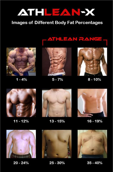 body fat percentage photos of men Body Fat Percentage Men, Bodybuilding Poster, Building Poster, Body Fat Measurement, Sixpack Workout, Weight Room, Body Fat Percentage, Pencak Silat, Training Exercises