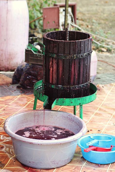 Teasc - a wine press device used to extract juice from crushed grapes during wine making. Picture taken from http://ro.wikipedia.org/wiki/Teasc Making Wine From Grapes, Own Business Ideas, Eco House Design, Wine Press, Farm Tools, Italian Culture, How To Make Cheese, Fermenting, The Meadows