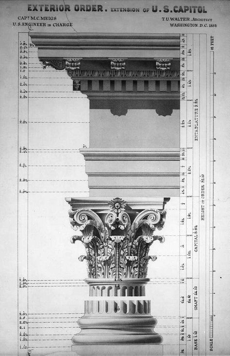 The Corinthian order as used in extending the US Capitol in 1854: the column's shaft has been omitted Corinthian Order, Architecture Antique, Classical Building, Architectural Orders, Architecture Classic, Plans Architecture, Roman Architecture, Architectural Prints, Classic Architecture