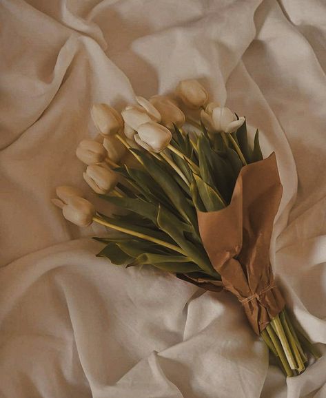 Light Acadamia, ليلو وستيتش, Beige Icons:), Light Academia Aesthetic, Aesthetic Light, Cream Aesthetic, Nothing But Flowers, Beige Wallpaper, Brown Flowers