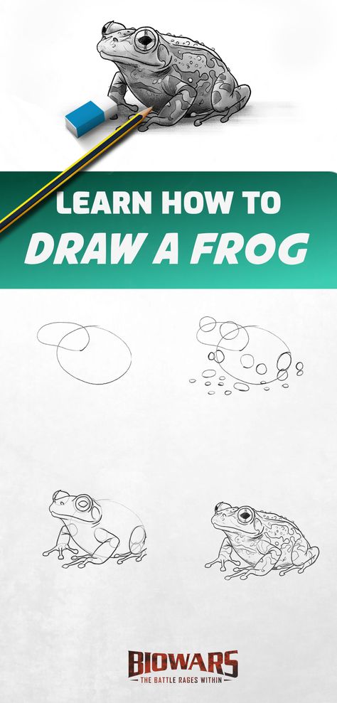 A collage of five images that represent the process of frog drawing. How To Draw A Frog Step By Step, How To Draw Frogs, Frog Drawing Reference, How To Draw A Frog, Frog Drawing Tutorial, Draw Frog, Draw A Frog, Bujo Themes, Easy Animal Drawings