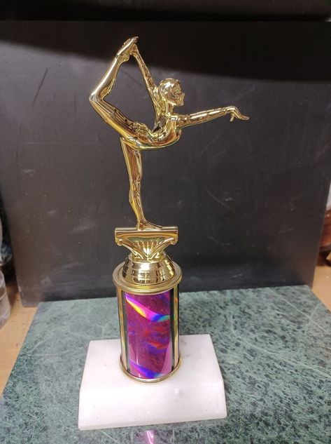 Dance Trophy, Gymnastics Medals, Gymnastics For Beginners, Ballet Competition, Snap Dance, Dance Comp, Sports Trophies, Color Plate, Gymnastics Dance