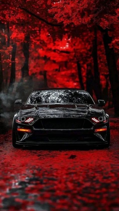 Gtr Iphone Wallpaper, Mustang Gtr, Aesthetic Car Accessories, Ford Mustang Wallpaper, Car Iphone Wallpaper, Tokyo Drift Cars, Hd Photography, Mustang Wallpaper, Ford F 150 Raptor