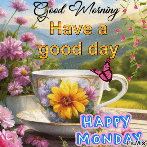 Happy Monday Good Monday Morning GIF - Happy monday Good monday morning - Discover & Share GIFs Monday Morning Gif, Good Morning Monday Gif, Happy Monday Gif, Monday Morning Greetings, Monday Morning Wishes, Monday Good Morning, Happy Monday Images, Happy Monday Morning, Monday Images