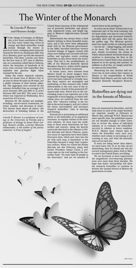 New York Times "The Winter of the Monarch" by Eiko Ojala, via Behance Eiko Ojala, Newspaper Design Layout, Newspaper Layout, Book And Magazine Design, Paper Magic, Vintage Newspaper, Newspaper Design, The Monarch, Graphic Design Lessons