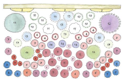 The Catherine Janson Border Gravel Courtyard, Garden Planting Ideas, Small Garden Borders, Cottage Garden Plan, Small Yellow Flowers, Border Ideas, Garden Border, Vegetable Garden Planning, Famous Gardens