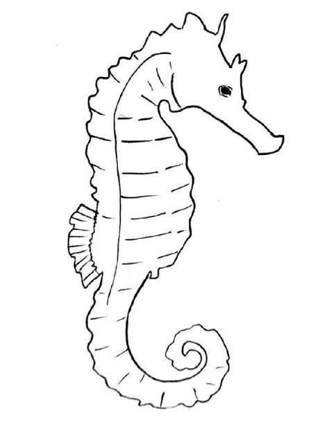 Seahorse Coloring Pages, Seahorse Drawing, Sea Cake, Seahorse Art, Horse Coloring Pages, Marine Theme, Ship Tattoo, Horse Drawing, Horse Drawings