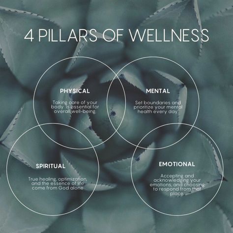 Ready to optimize your well-being, but not sure where to start? 🌸 Our holistic wellness coaching program helps to guide you through 8 pillars of wellness, assisting you to create and sustain balance and harmony in all areas of your life. 🧘🏾‍♀️ We specialize in supporting your physical, spiritual, mental, and emotional well-being. 🌸Let's work together to achieve your goals and live a more fulfilling life! DM us or visit our website at www.dearselfwellness.com to schedule your free consultat... Wellness Poster, Pillars Of Wellness, Vision Board Pics, Wellness Coaching, Balance And Harmony, Emotional Balance, Wellness Coach, Holistic Wellness, Coaching Program