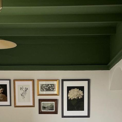 Olive Green Ceiling, Green Ceiling Living Room, Green Doors Interior, Dark Green Ceiling, Dark Ceiling Light Walls, Tray Ceiling Bedroom, Green Study, Interiors 2023, Green Ceiling