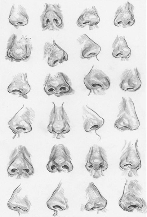 Face Art Drawing, Filmy Vintage, Nose Drawing, Portraiture Drawing, Art Tools Drawing, Easy Drawings Sketches, Anatomy Drawing, Art Drawings Sketches Creative, Anatomy Art