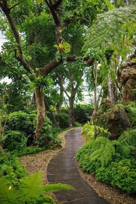 Tropical Rainforest Garden, Rainforest Landscape Design, Rainforest Garden Ideas, Resort Garden Design, Rainforest Backyard, Tropical Garden Design Small Spaces, Rain Forest Garden, Jungle Garden Ideas, Cool Backyard Ideas