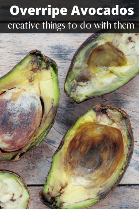 Have Overripe Avocados_ Creative things to do with them Ripe Avocado Recipes, Overripe Avocado, Shrimp Avocado Salad Recipe, Avocado Ideas, Avocado Uses, Clean Smoothies, Roasted Corn Salad, How To Ripen Avocados, Avocado Recipes Healthy