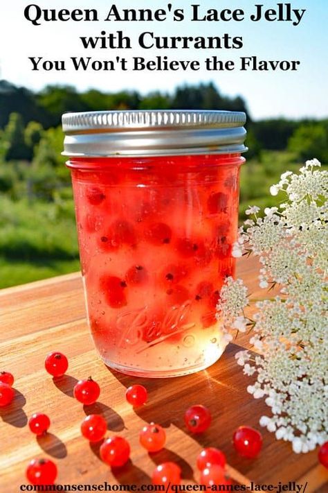 Jam Recipes Homemade, Foraging Recipes, Canning Jam, Jelly Recipe, Foraged Food, Queen Anne's Lace, Jam And Jelly, Jelly Recipes, Queen Annes Lace