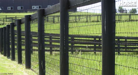 Types Of Fencing, Livestock Fence, Horse Pens, Pasture Fencing, Fence Options, Horse Shelter, Country Fences, Horse Fencing, Yard Fence