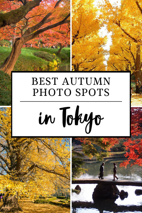 If you are visiting Tokyo in Autumn, make sure you don't miss these gorgeous photo spots! Best Photo Spots In Tokyo, Japan In The Fall, Japan Autumn Aesthetic, Travel Tokyo, Japan Autumn, Leaves Photo, Japan Destinations, Visit Tokyo, Travel Japan