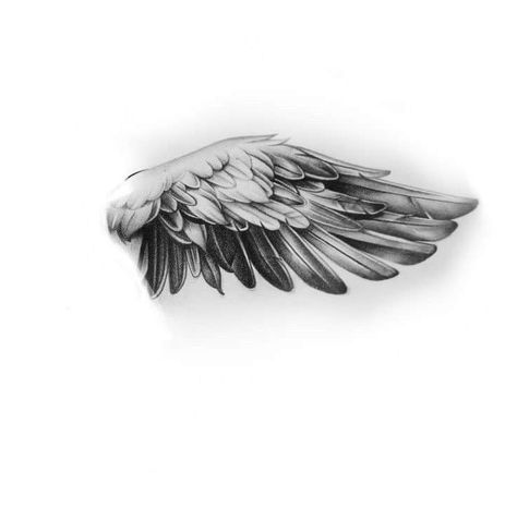 Realistic Angel Wings Drawing, Cherub Wings Tattoo, Realistic Wings Drawing, Realistic Angel Wings Tattoo, Realistic Wings Tattoo, Wings Drawing Tattoo, Angel Wings Realistic, Angel Feather Tattoo, Realistic Angel Wings