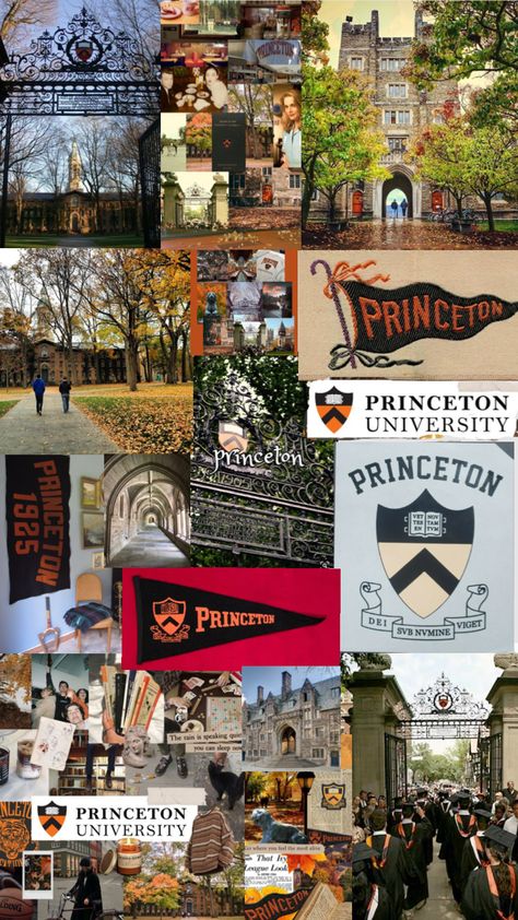 Prinston University Aesthetic, Princeton University Wallpaper, Princeton Acceptance Letter, Mit Acceptance Letter, Colleges To Apply To, Princeton Wallpaper, Ivy League Aesthetic Wallpaper, Prinston University, Harvard Wallpaper