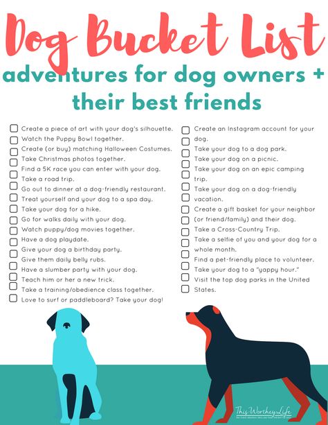 Humans have a bucket list, so why not have one for you and your dog to enjoy together?  Here is a FREE Dog Bucket List that you can print and decide on your adventures.  How many have you already completed? Dog Bucket List, Dog Mom Life, Cairn Terriers, Dog Enrichment, Dog Facts, Dog Things, Dog Info, Airedale Terrier, Puppy Stuff