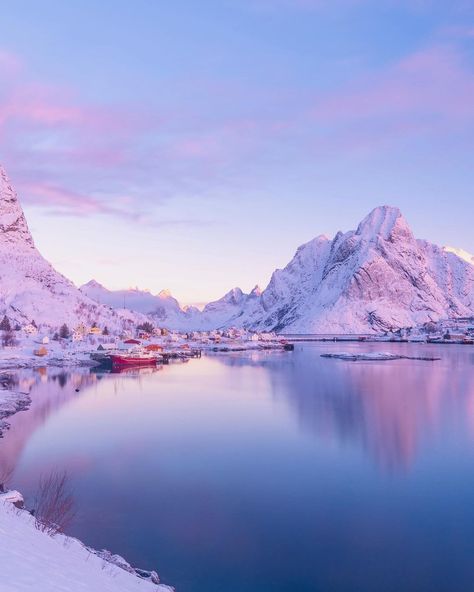 Winter in Norway 👌🏻 | Instagram Norway Lofoten, Pink Morning, Norway Winter, Norway Fjords, Winter Bucket List, Kings Park, Norway Travel, Landscape Pictures, One Love