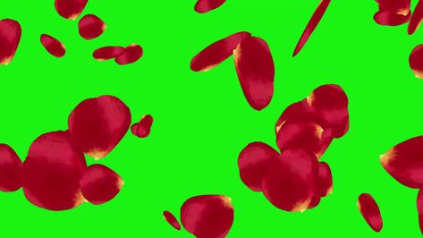 Red flower petals falling on green screen Gacha Flowers Green Screen, Gacha Flower, Petals Falling, Gacha Backgrounds, Black Phone Wallpaper, Black Phone, Flower Of Life, Green Screen, Red Flower