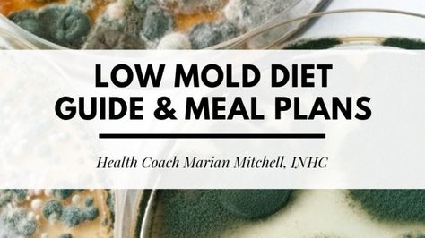 Low Mold Diet, Mold Diet, Mold Toxicity, Severe Asthma, Mold Exposure, Persistent Cough, Sensitive Person, Light Sensitivity, Diet Guide