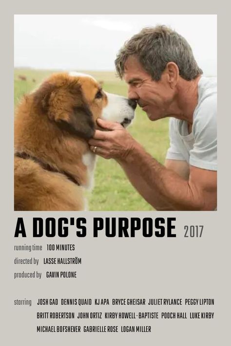 A Dogs Purpose Movie Poster, Like Mike Movie Poster, Movies I Consider Perfect, Dog Movie Poster, A Dogs Purpose Movie, A Dog's Purpose, Heaven Movie, Beatles Movie, A Dog's Journey