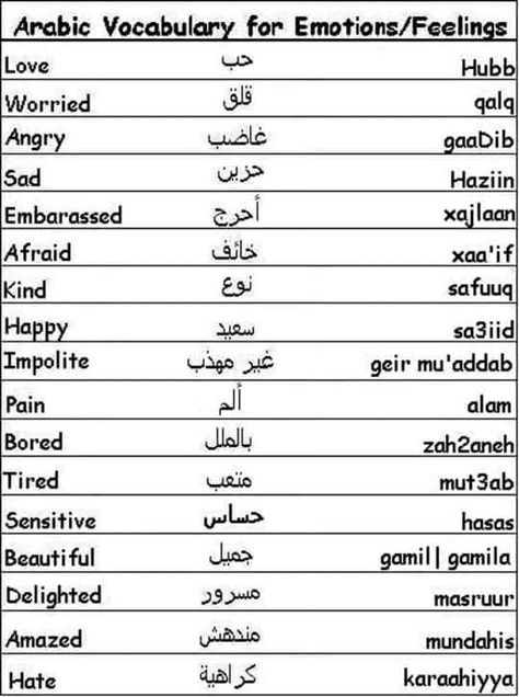 Learning Arabic MSA (Fabienne) Curse Someone, Language Tattoos, Language Humor, Language Notes, Somali Quotes, Egyptian Arabic, Language Design, Language Logo, Arabic Vocabulary