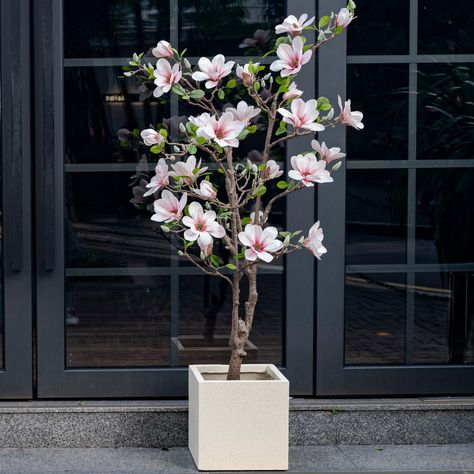 PRICES MAY VARY. 🌺Realistic Design: The Ttranewsoo Artificial Magnolia Tree features hand feeling leaves and flowers, providing a lifelike and natural appearance that will bring a touch of elegance to any space. 🌺Premium Quality Materials: The tree pole is made of durable plastic, ensuring stability and longevity. The hand feeling leaves and flowers are crafted with attention to detail, giving them a realistic texture and look. 🌺Versatile Application: This artificial tree is suitable for vari Flowers For Home Decor, Fake Indoor Trees, Artificial Trees Outdoor, Indoor Floor Plants, Large Fake Plants, Indoor Olive Tree, Tall Fake Plants, Artificial Indoor Trees, Cheap Christmas Trees