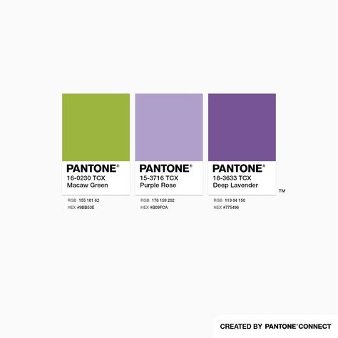 Green And Purple Branding Color Palette, Green And Purple Pallete, Lavender Green Color Palette, Purple And Green Graphic Design, Purple Green Colour Palette, Green And Purple Color Scheme, Purple And Green Colour Palette, Purple And Green Branding, Color Palette Green Purple