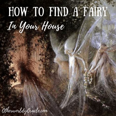 How to Find a Fairy In Your House - Otherworldly Oracle Real Fairies, Irish Folklore, Types Of Fairies, Nature Spirits, Elf House, Witch Magic, Fairy Magic, Witchy Woman, Kitchen Witch