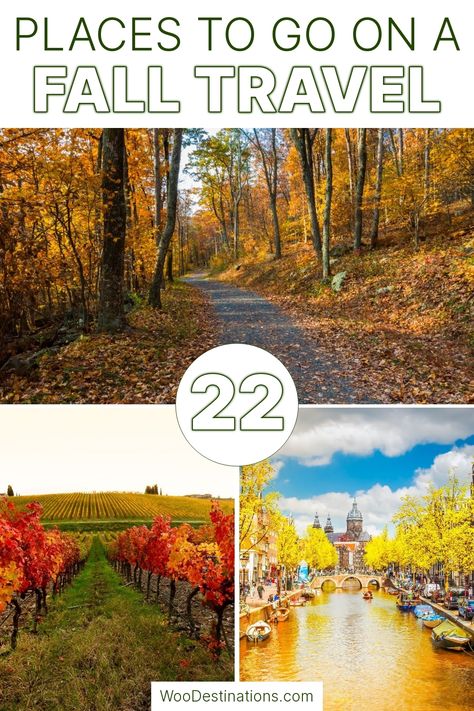 As a passionate traveler, I can't get enough of the vibrant colors and cozy vibes that autumn brings. From picturesque vineyards to serene forest paths, fall is the perfect time to explore new destinations. Join me as I share my top 22 places to experience the beauty of fall travel! 🍂✨ Forest Paths, Serene Forest, Fall Getaways, Lake Bled, Shenandoah National Park, Forest Path, Lake Louise, Fall Travel, Quebec City