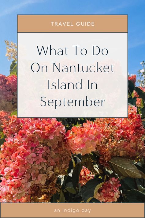 You might think summer is the prime travel season for Nantucket, but wait until you see it in the fall when the limelights change colors and the weather has cooled off! Discover the unique charm and serenity of Nantucket in September with our guide. Cape Cod September, Nantucket In October, Fall In Nantucket, Nantucket Autumn, Nantucket Itinerary, Nantucket In The Fall, Nantucket Trip, Things To Do In Nantucket, Nantucket Fall