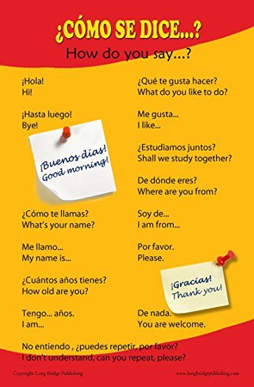 Spanish Help, Spanish Expressions, Learn Spanish Free, Basic Spanish Words, Wall Phrases, Learn To Speak Spanish, Spanish Greetings, Spanish Basics, Spanish And English