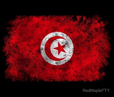 Tunisia Wallpaper, Tunisia Flag, Vintage Flag, National Flag, Flag Design, Tunisia, Images Gif, Find It, Let Me Know