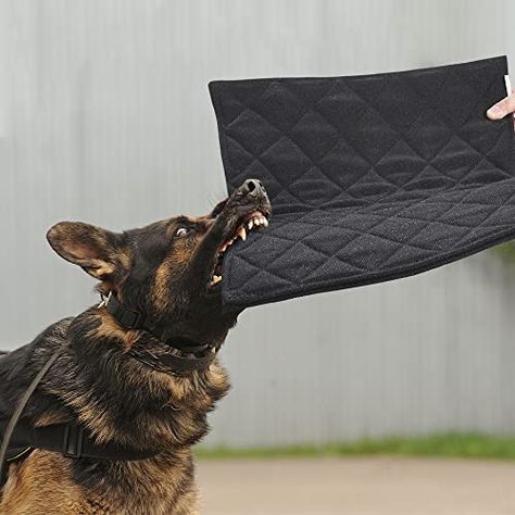 Chew Proof Dog Bed, Dog Crate Pad, Durable Dog Bed, Indestructable Dog Bed, Dog Crate Pads, Dog Pee Pads, Dogs Black, Dog Bed Mat, Dog Pads