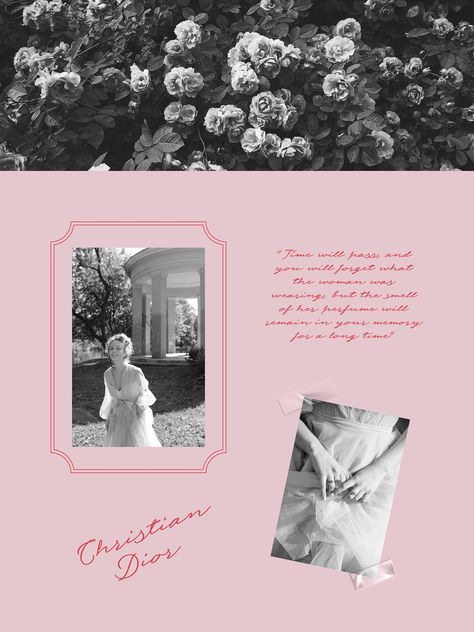 ФИРМЕННЫЙ СТИЛЬ | Rosamund | VISUAL IDENTITY :: Behance Minimal Web Design, Santa Lucia, Editorial Layout, Perfume Brands, Website Inspiration, Website Design Inspiration, Web Design Inspiration, 로고 디자인, Branding Inspiration