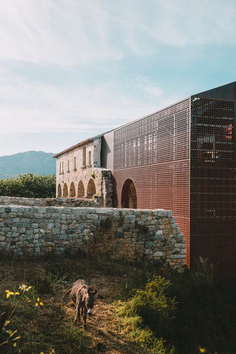 Convent Saint François / Amelia Tavella Architectes | ArchDaily Ruins Architecture, Architecture Renovation, Stone Facade, Stone Architecture, San Francesco, Adaptive Reuse, Historical Monuments, Architecture Student, Santa Lucia