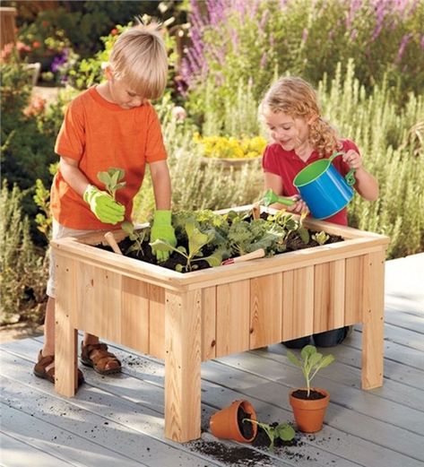 Small Garden Tools, Growing Veggies, Children's Garden, Garden Planter, Wood Planters, Raised Bed, Planter Box, Gardening For Kids, Raised Garden Beds