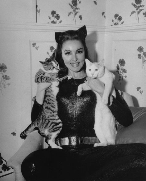 . She And Her Cat, Celebrities With Cats, Batman Tv Show, Julie Newmar, Cat Women, Two Cats, Cat People, Vintage Cat, Crazy Cat Lady