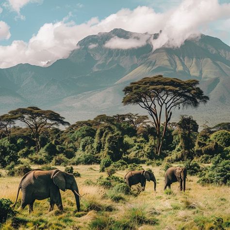 Encountering Elephants in Arusha National Park: A Gentle Giant’s Playground Arusha National Park offers a unique opportunity to observe African elephants in a breathtakingly diverse setting. This park, though smaller than Tanzania’s other safari destinations, provides a lush landscape where elephants roam against the backdrop of Mount Meru. Visitors can watch these majestic creatures as they gracefully navigate the montane forest, providing an intimate glimpse into the life of one of Africa’... Nature, African Mural, Safari Landscape, African Forest, Different Home Decor, Wild Park, Style Development, Mount Meru, Different Home Decor Styles