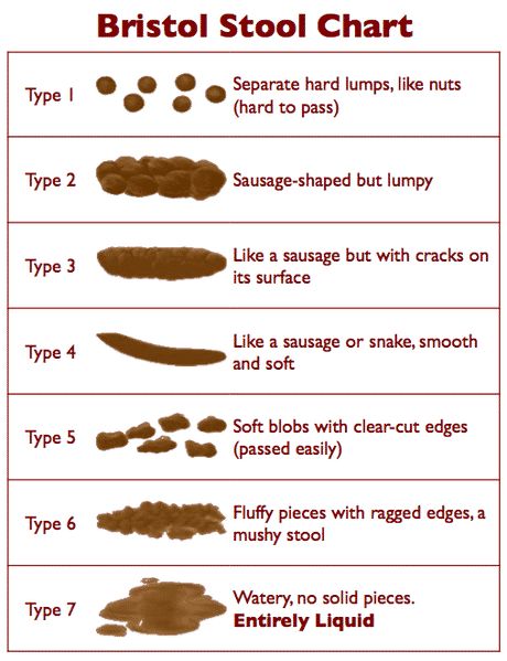 What's a Healthy Bowel Movement? Check Out the Stool Chart Health Priority, Bristol Stool, Stool Chart, Bristol Stool Chart, Rectal Prolapse, Healthy Bowel Movement, Scd Diet, Healthy Holistic Living, Bowel Movement