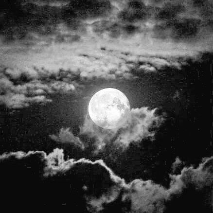 🖤 . . . #black #white #grey #aesthetic #moon #sky #photo #photography #theme #instagood Pinguin Illustration, Black And White Photo Wall, Black And White Picture Wall, Gray Aesthetic, Black And White Aesthetic, Aesthetic Colors, Aesthetic Themes, Black N White, Black And White Pictures