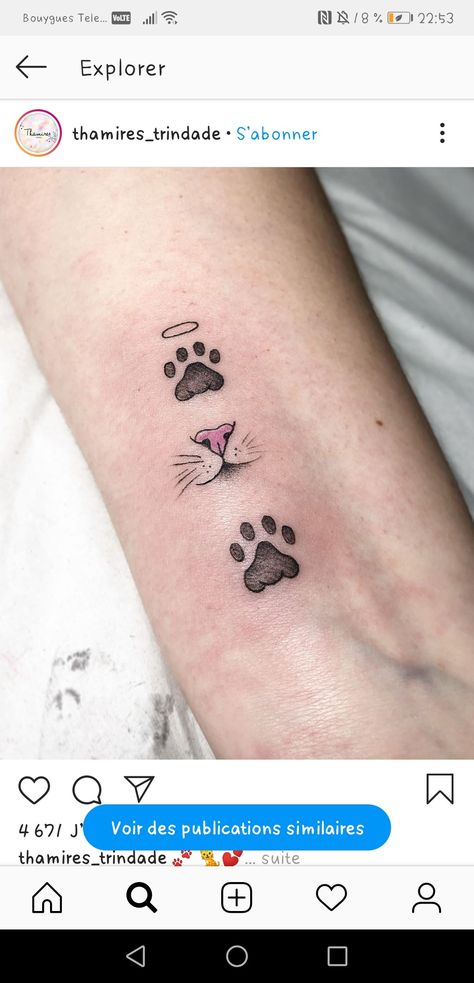 Cat Paw Print Tattoo Collar Bone, Cat Nose Print Tattoo, Tiny Cat Tattoo, Baby Owl Tattoos, Cat Paw Print Tattoo, Nose Tattoo, Cat Paw Tattoos, Body Enhancement, Cute Ankle Tattoos