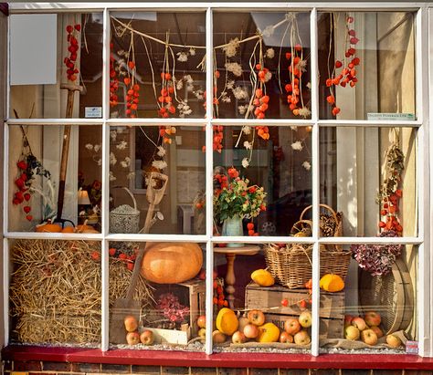 An Autumn harvest theme for a display in a shop window at Emsworth, Hampshire by Anguskirk, via Flickr Fall Store Displays, Halloween Window Display, Autumn Window Display, Harvest Theme, Fall Windows, Window Display Retail, Decoration Vitrine, Store Window Displays, Christmas Window Display