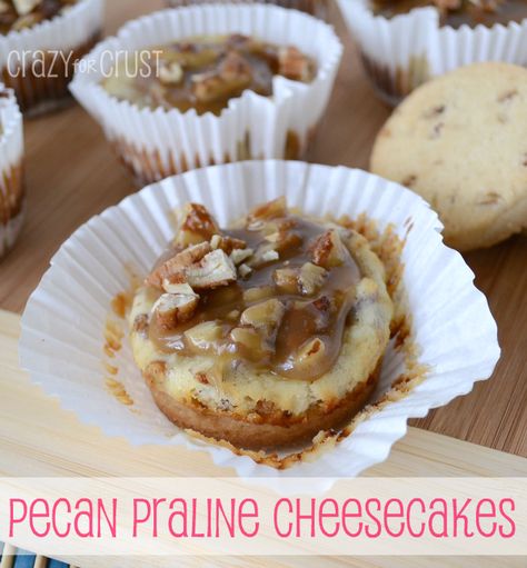 Pecan Praline Cheesecakes by www.crazyforcrust.com | A Pecan Sandie crust topped with toffee cheesecake and a pecan praline topping. #praline #cheesecake Mini Pecan Cheesecakes, Pecan Praline Topping, Pecan Sandie, Pecan Sandies Cookies, Praline Cheesecake, Toffee Cheesecake, Pecan Sandies, Mini Pecan Pies, Yummy Cheesecake