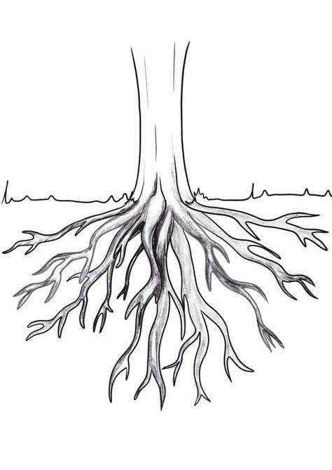 Tree With Roots Drawing, Roots Of A Tree, Easy Steps To Draw, Draw Tree, Roots Drawing, Steps To Draw, Branch Drawing, Drawing Tree, 2b Pencil